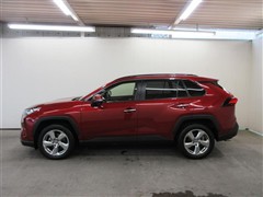 RAV4 G