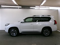 ランドクルーザープラド TZ-G