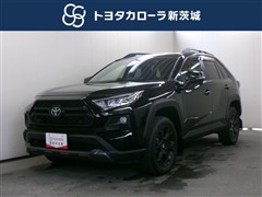 トヨタ　RAV4 アドベンチャー オフロート