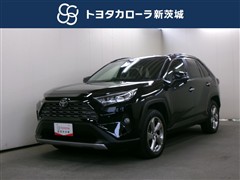 RAV4 G