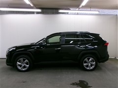 RAV4 G