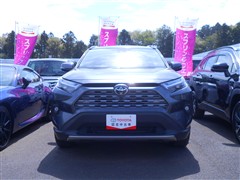 RAV4 ハイブリッド G