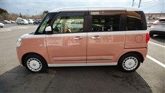 ムーヴキャンバス ストライプス G