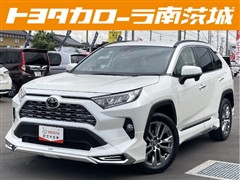 RAV4 G Zパッケージ
