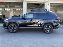 RAV4 アドベンチャー オフロート