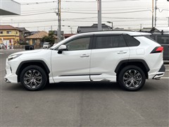 RAV4 ハイブリッド G