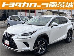 NX 300h Iパッケージ