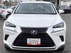 NX 300h Iパッケージ