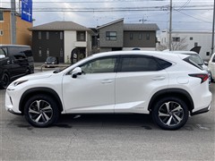 NX 300h Iパッケージ