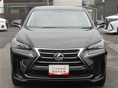 NX 300h Iパッケージ