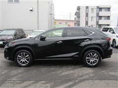 NX 300h Iパッケージ