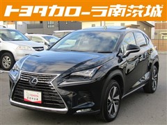 NX 300h バージョンL
