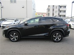 NX 300h バージョンL