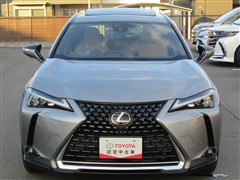 UX 250h バージョンC