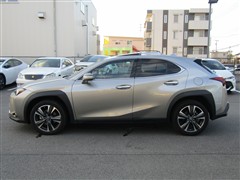 UX 250h バージョンC