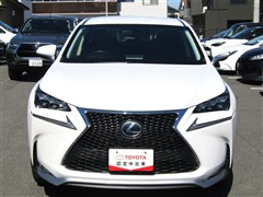 NX 300h バージョンL