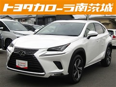 NX 300 バージョンL 4WD