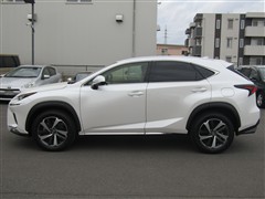 NX 300 バージョンL 4WD