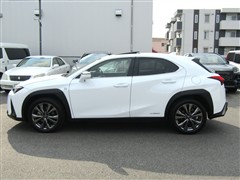 UX 250h Fスポーツ