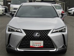UX 250h バージョンL