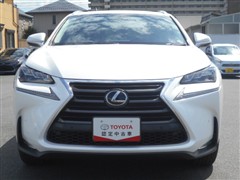 NX 200t Iパッケージ