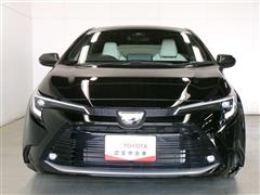 カローラツーリング WxB