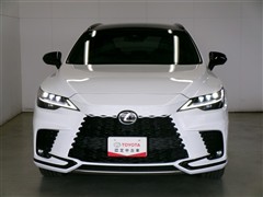 RX500hFスポーツパフォーマンス