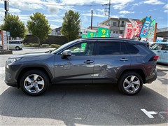 RAV4 G