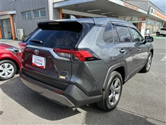 RAV4 G