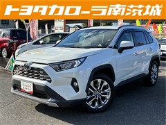 RAV4 G Zパッケージ 4WD