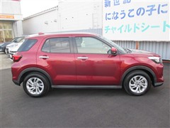 ライズ ハイブリッド G