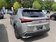 UX 250h アーバンエレガンス