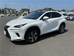 NX 300h Iパッケージ
