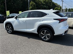 NX 300h Iパッケージ