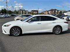 ES 300h ヒョウジュンシャ