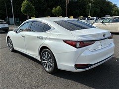 ES 300h ヒョウジュンシャ