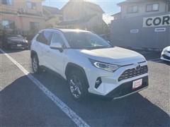 RAV4 G Zパッケージ