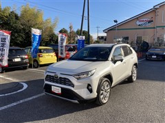 RAV4 ハイブリッドG