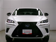 NX 300h ブラックシークエンス