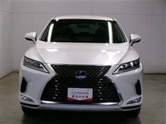 RX 450h バージョンL