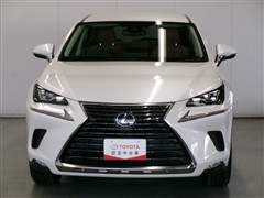 NX 300h バージョンL