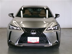 UX 200 バージョンL