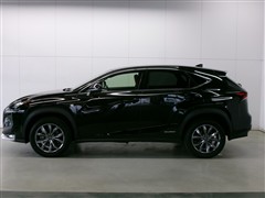 NX 300h Fスポーツ 4WD