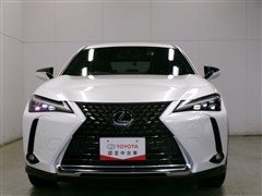 UX 250h バージョンC
