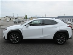 UX 250h Fスポーツ