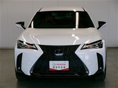 UX 250h Fスポーツ