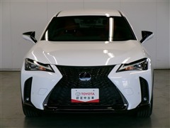 UX 250h Fスポーツ