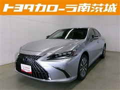 ES 300h ヒョウジュンシャ
