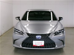 ES 300h ヒョウジュンシャ