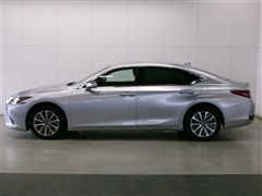 ES 300h ヒョウジュンシャ